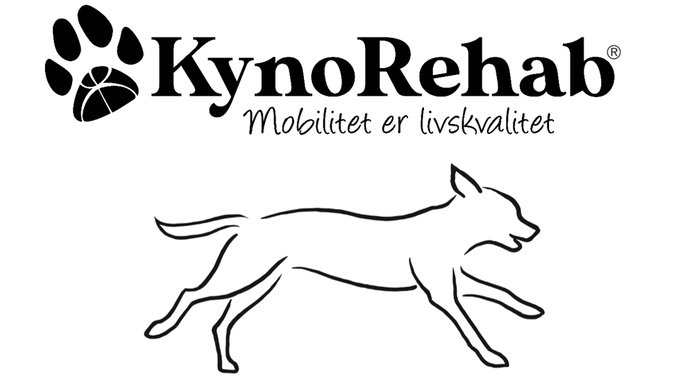 Kyno logo
